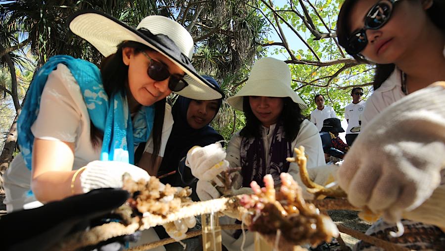 Peserta Women On The Move 2026 mengikuti The Blue Legacy: An Exclusive Ocean Conservation Experience With ANTAM di Lombok, Sabtu (12/9/2026).