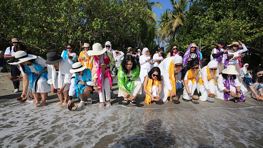 Selain penanaman terumbu karang konservasi laut itu juga melepas 50 ekor tukik untuk dilepasliarkan. (Bloomberg Technoz/Andrean Kristianto)