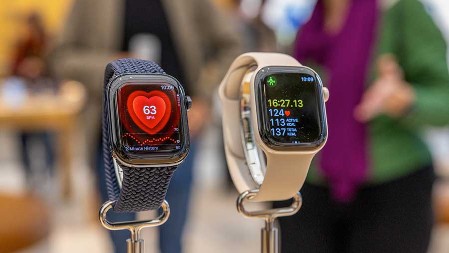 Apple Mengembangkan Pelacak Kebugaran Baru yang Ditujukan untuk Menyaingi Whoop (Bloomberg)