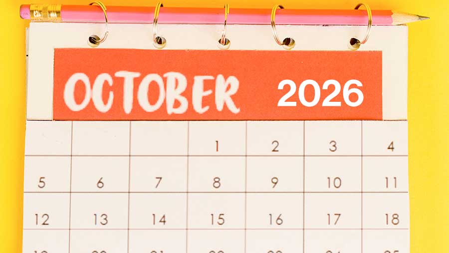 Kalender Oktober 2026 (Diolah)