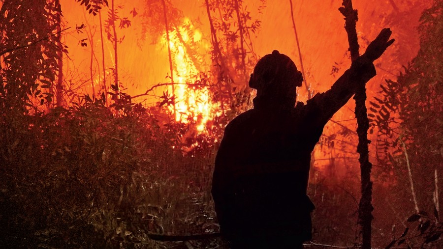 Penanganan karhutla di Kalimantan Selatan. Foto oleh Dimas Ardian/Bloomberg. Diolah oleh Arie Pratama/Bloomberg Businessweek Indonesia