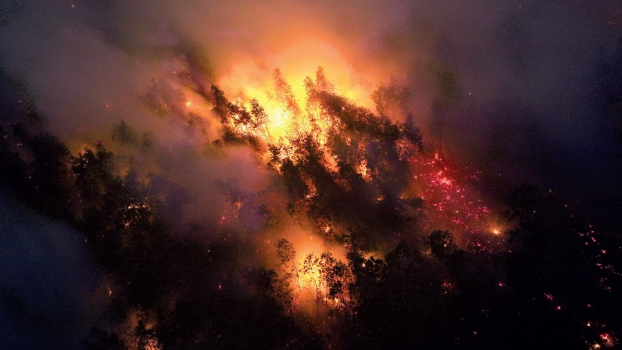 Karhutla di Kalimantan Selatan. Foto oleh Dimas Ardian/Bloomberg. 