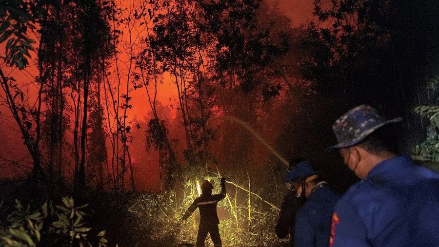 Penanganan karhutla di Kalimantan Selatan. Foto oleh Dimas Ardian/Bloomberg.