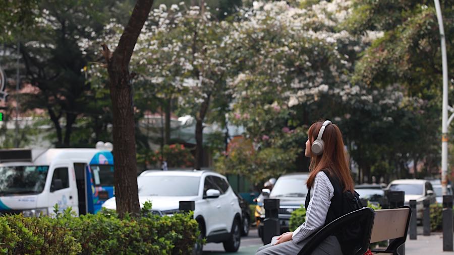 Warga duduk di pedestrian dekat Pohon Tabebuya di Jalan Cikini Raya, Jakarta, Jumat (9/10/2026). (Bloomberg Technoz/Andrean Kristianto)