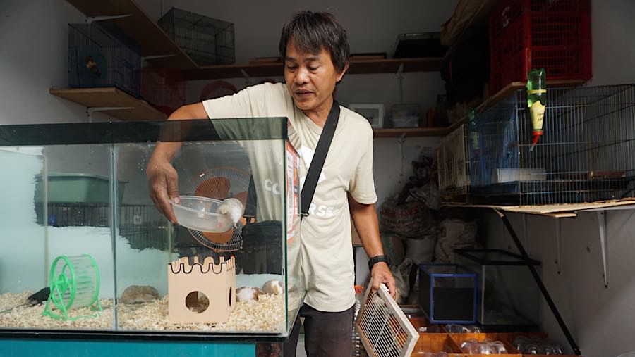 Pedagang merawat hamster di Sentra Fauna dan Kuliner Lenteng Agung, Jakarta, Senin (12/10/2026). (Bloomberg Technoz/Andrean Kristianto)