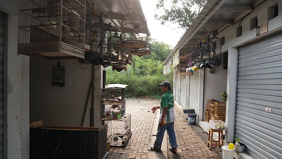 Suasana kios penjualan di Sentra Fauna dan Kuliner Lenteng Agung, Jakarta, Senin (12/10/2026). (Bloomberg Technoz/Andrean Kristianto)