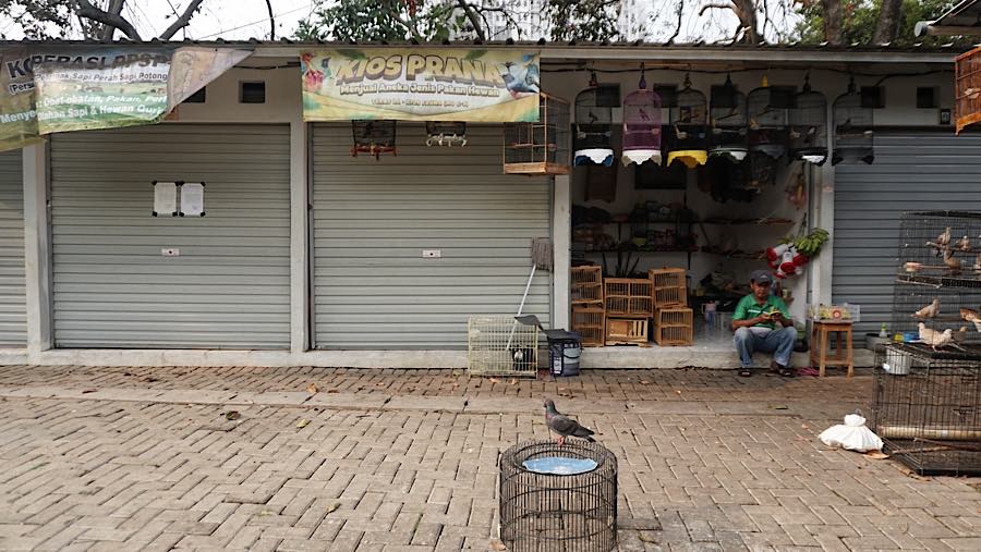 Suasana kios penjualan di Sentra Fauna dan Kuliner Lenteng Agung, Jakarta, Senin (12/10/2026). (Bloomberg Technoz/Andrean Kristianto)