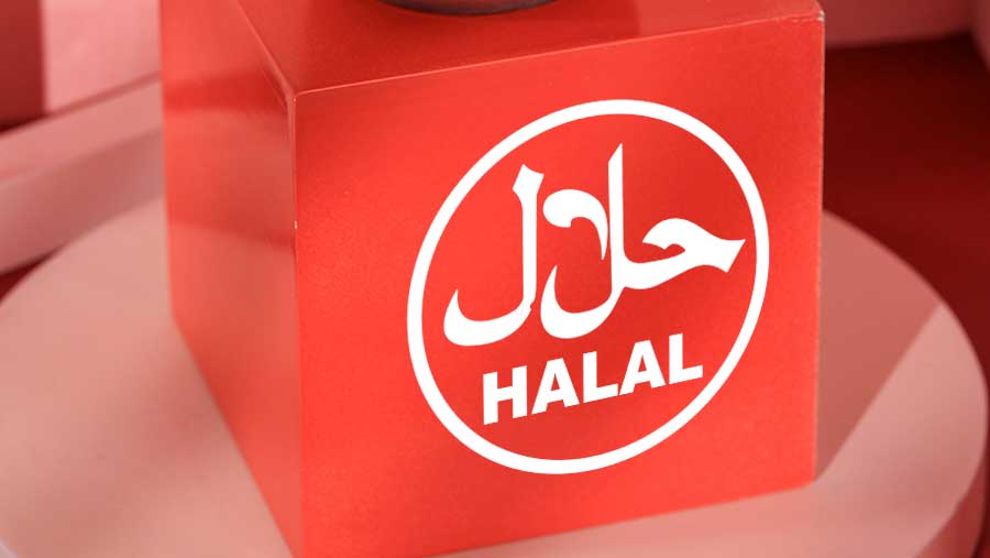 Ilustrasi produk halal (Diolah)