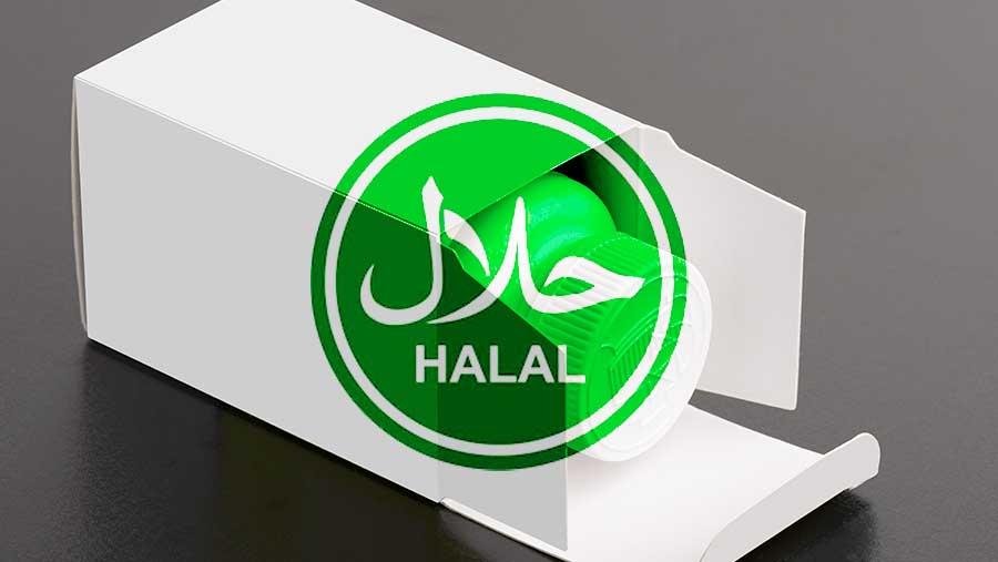 Ilustrasi produk halal (Diolah)