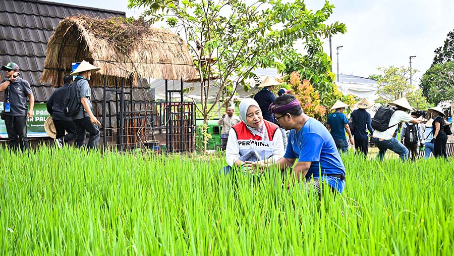 Dok. Pertamina